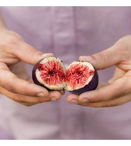 Tiszta gyümölcs = Les vergers Boiron