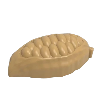 Cocoa bean mold, 10 pieces
