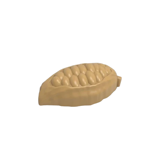 Cocoa bean mold, 10 pieces