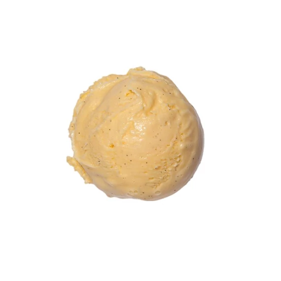 Madagascar Bourbon vanilla ice cream 2.5L