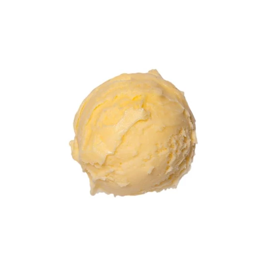 Citrus sorbet 2,5L