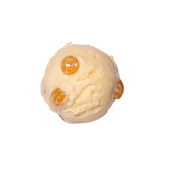 Rum raisin ice cream 2.5L