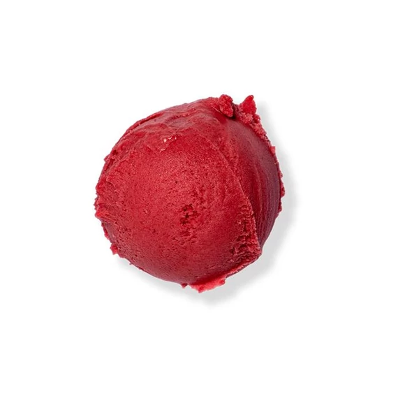 Erdei gyümölcsök sorbet 2,5L