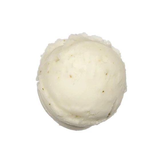 Mojito /non-alcoholic/ sorbet 2.5L