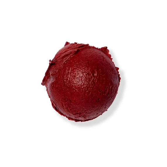 Forest blueberry sorbet 2.5L