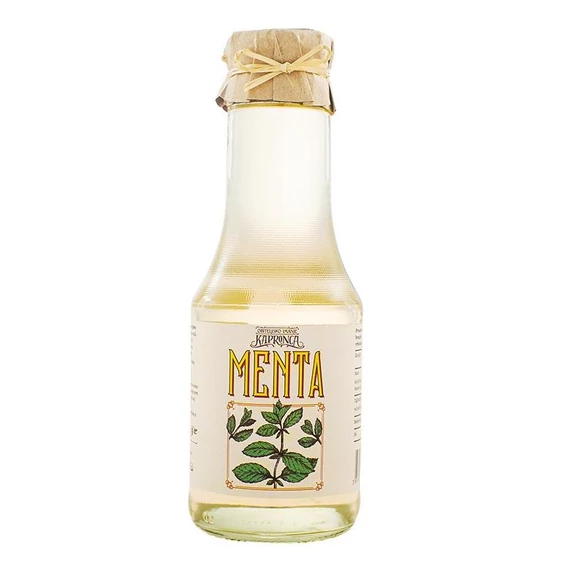Mint syrup 470 ml