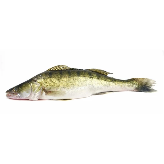 Süllő egész 600-900 g, lédig, 10% glazúrjéggel, 5 kg/karton