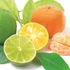 Kép 2/3 - Citrus sorbet 2,5L