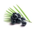 Kép 2/4 - Acai püré 1kg