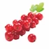Picture 2/3 -Redcurrant puree 100% 1kg