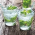 Kép 2/3 - Friss menta sorbet 2,5L